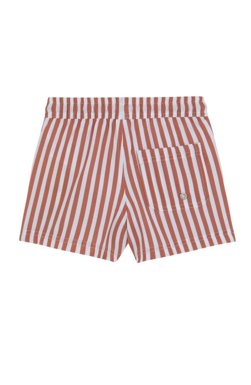 Gottex Kids Boys 2 Match Drawstring Swim Shorts In Multi