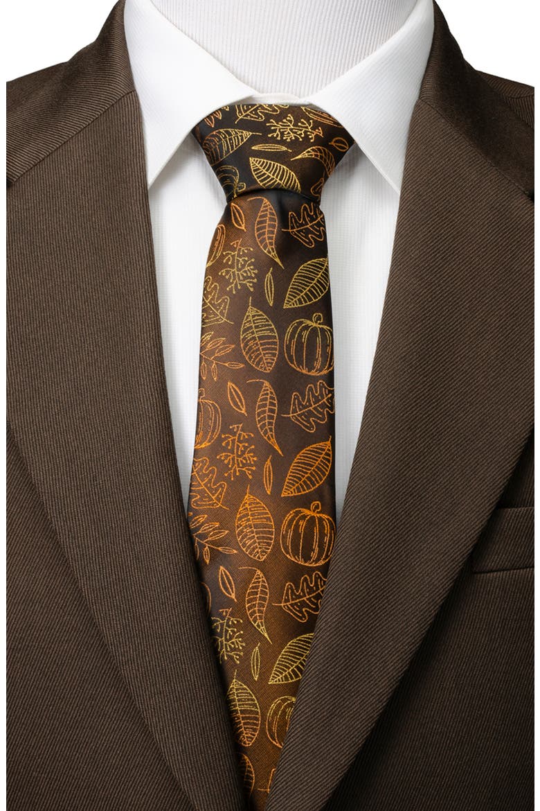 Fall Spice Silk Blend Tie, Alternate, color, BROWN