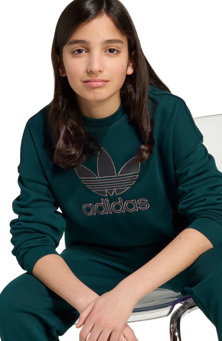 adidas Kids' Trefoil Crewneck Sweatshirt, Alternate, color, Aurora Ivy