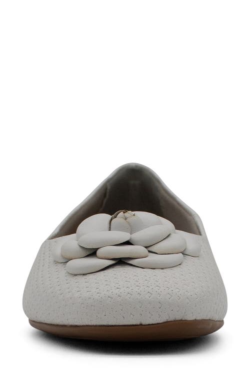 Bottero Botsamya Ballet Flat In Gray