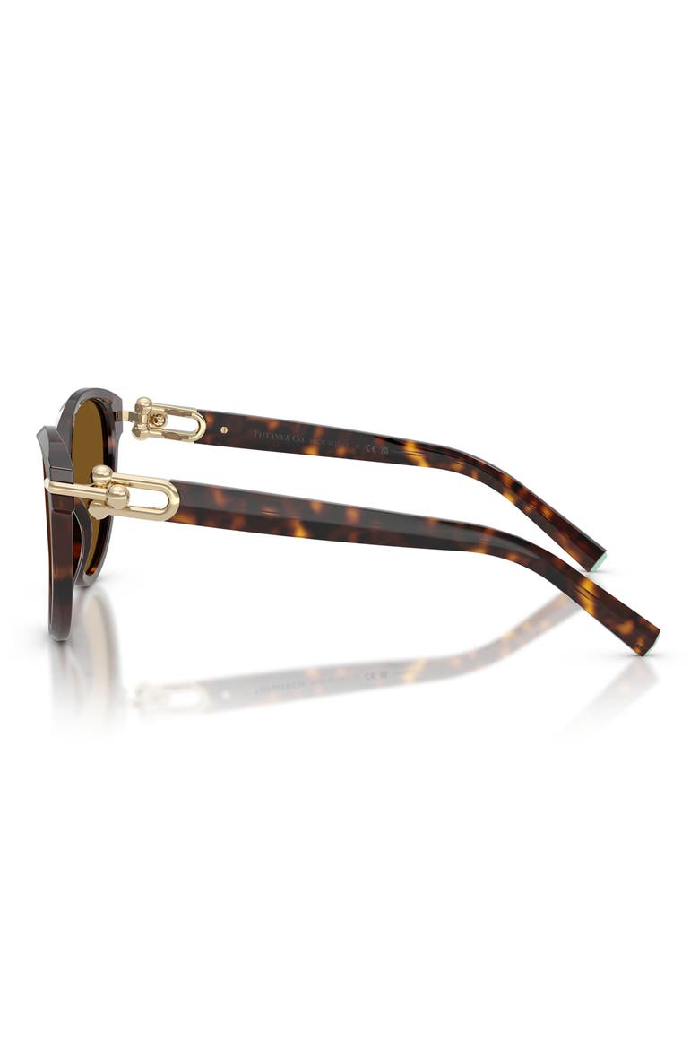 56mm Polarized Cat Eye Sunglasses, Alternate, color, HAVANA / DARK BROWN POLAR