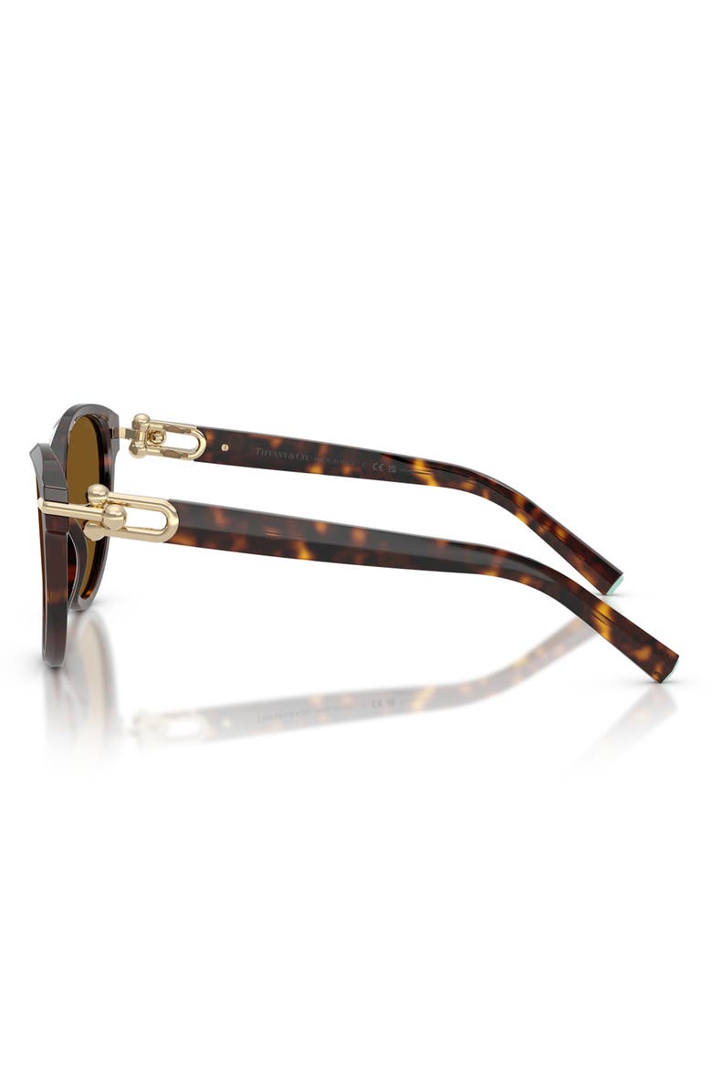 Tiffany & Co. 56mm Polarized Cat Eye Sunglasses, Alternate, color, Havana / Dark Brown Polar