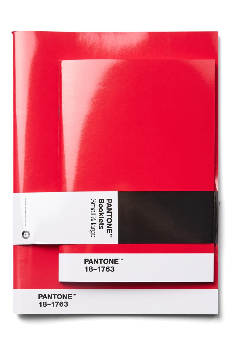 Pack of 2 Dotted Booklets, Main, color, RED 18-1763