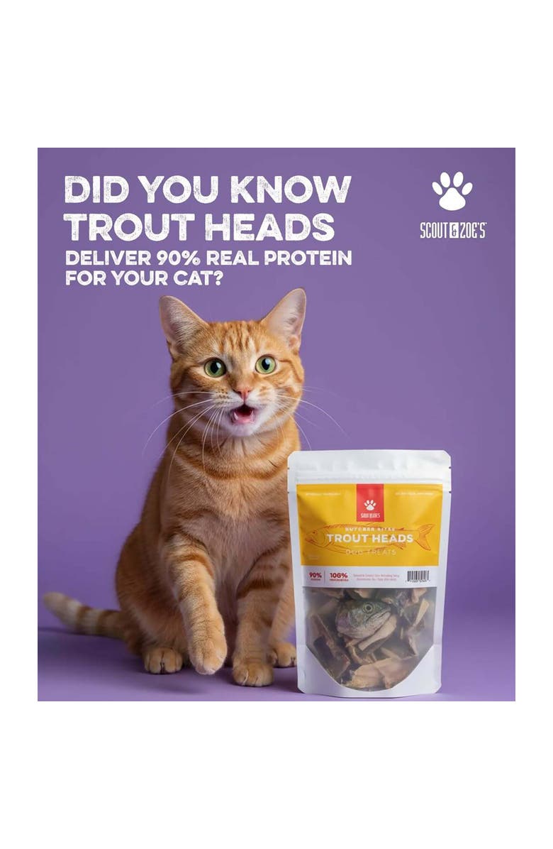 Scout & Zoe's Trout Heads, 6oz Dog & Cat Treats, Freeze Dried Fish, Crunchy, Alternate, color, Multicolored