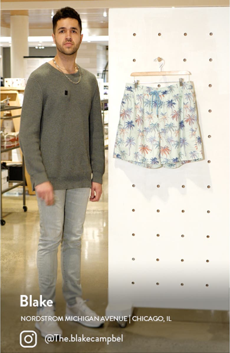 Kian Palm Pride Tree Swim Trunks, sales video thumbnail