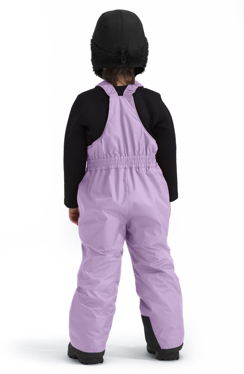 The North Face Kids' Freedom Insulated Waterproof Snow Bibs, Alternate, color, 