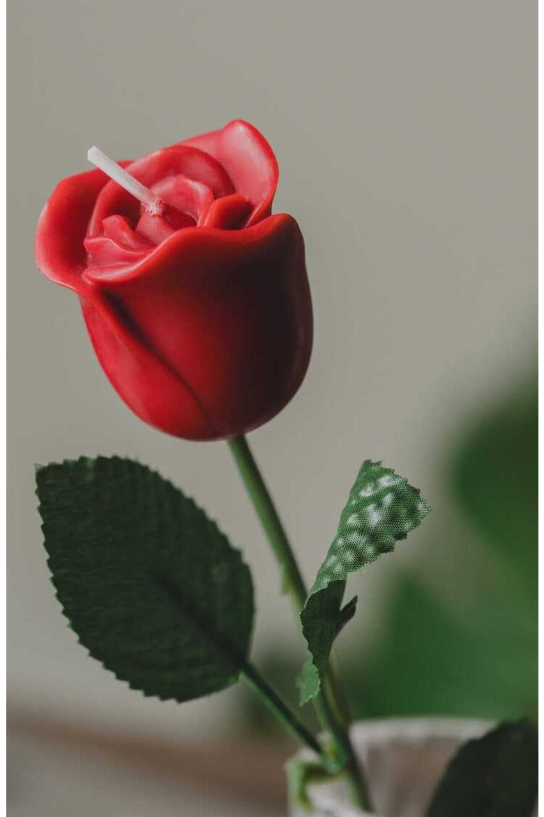 Rose Candle, Alternate, color, Dark Red / Burgundy
