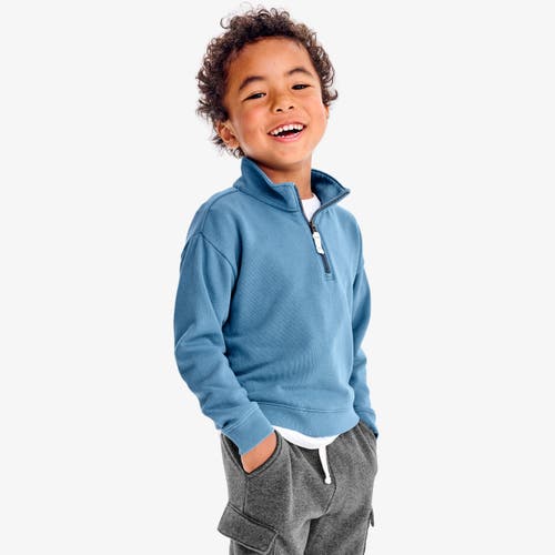 Primary Quarter Zip Sweatshirt In Multi