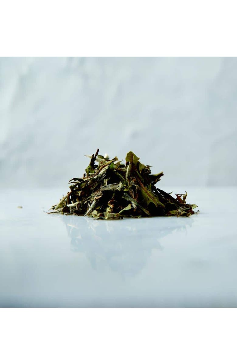 Samovar Tea Moon Bud White Tea, Organic, Alternate, color, 1 Lb Bulk Bag