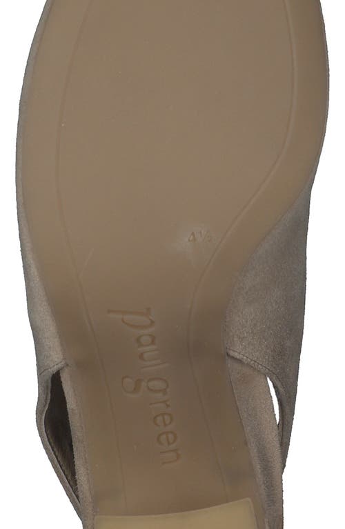 Paul Green Riviera Slingback Sandal In Champagne Suede
