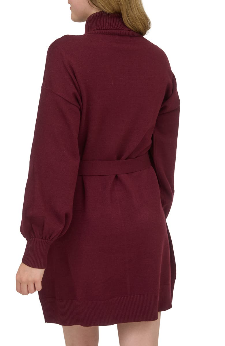 AUGUST SKY Long Sleeve Turtleneck Sweater Minidress, Alternate, color, Red Wood