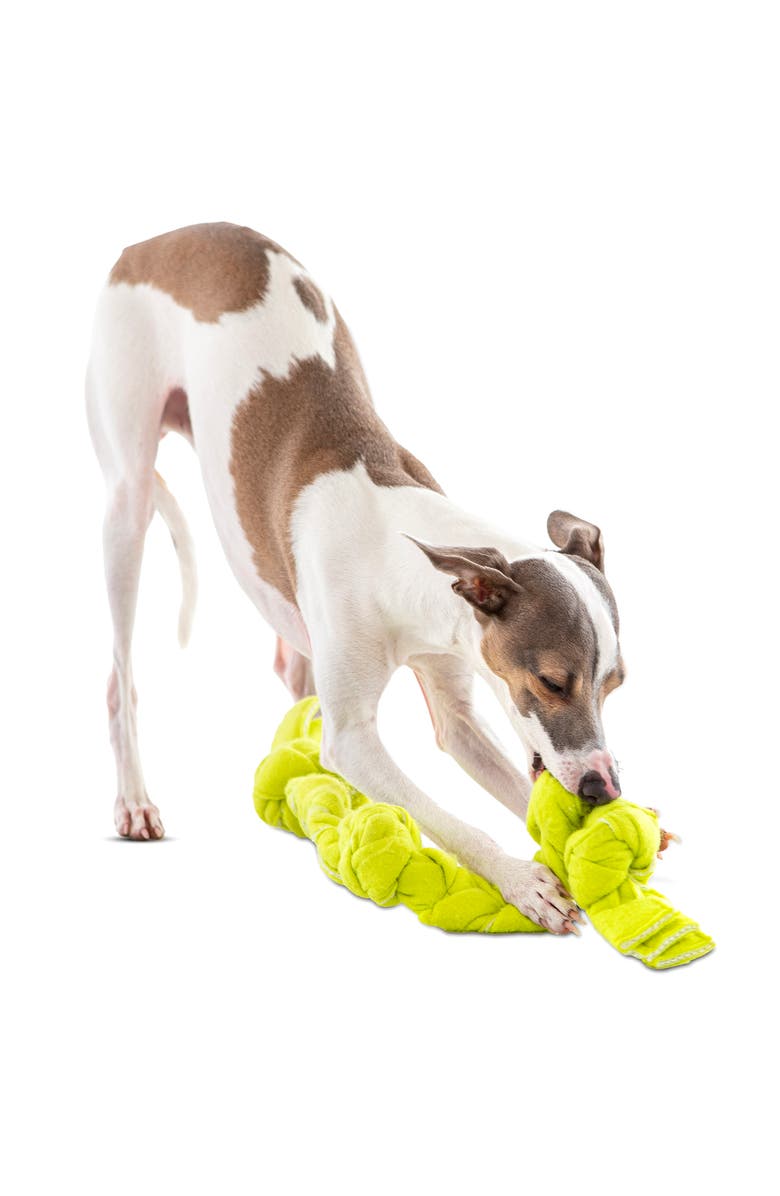 GURU Pet Dog Toy Figure 8 Squeaking Tennis Snuffle 20 Inch Rope, Alternate, color, Green