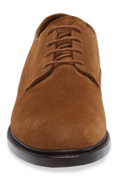 Vince Davies Plain Toe Derby In Vicuna Brown