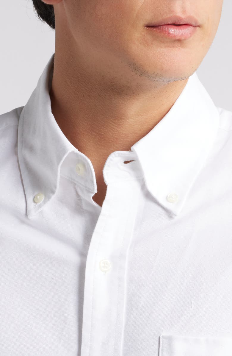 Schott NYC Button-Down Oxford Shirt, Alternate, color,