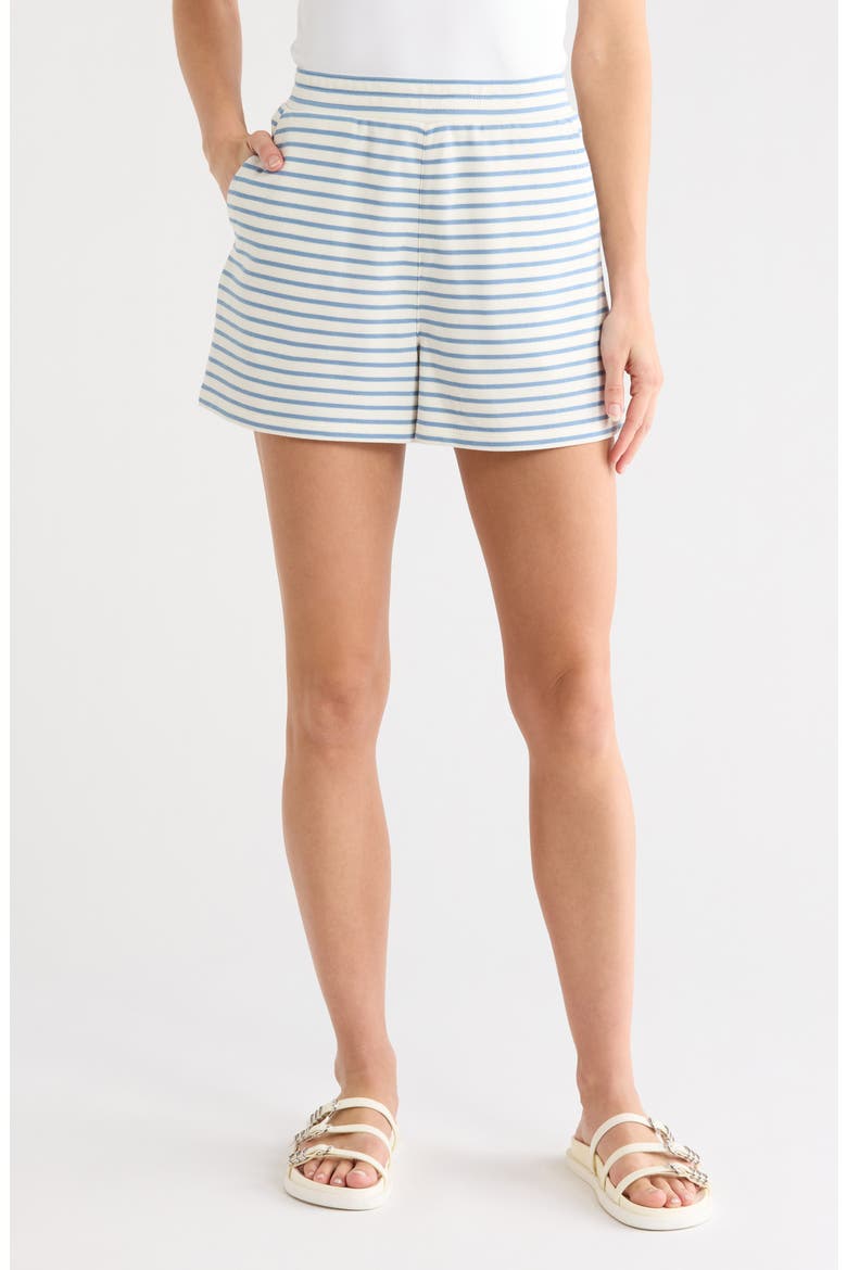 Brighton Stripe Shorts, Main, color, DOVE LAKE MIST