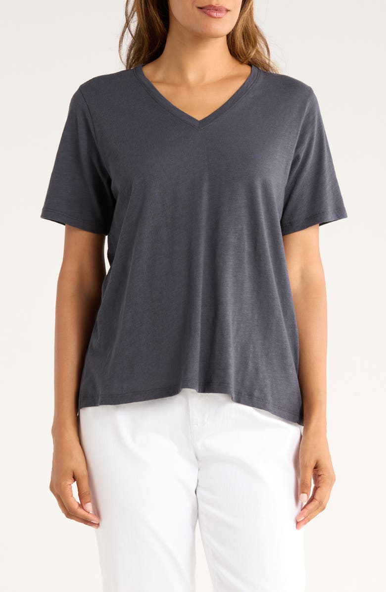 Eileen Fisher Easy V-Neck Organic Cotton T-Shirt, Main, color,