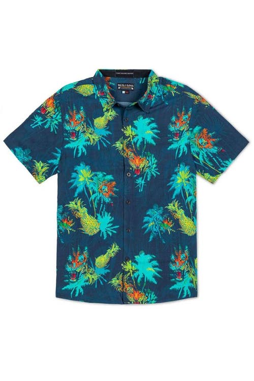 Baja Llama 121 DO ONE - NIGHTHAWK BUTTON UP in Blue  product