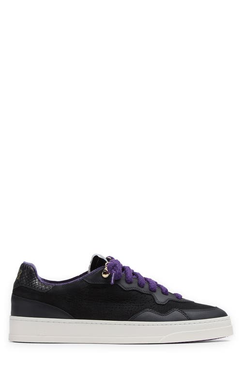P448 Bali Sneaker In Tuxedo/black