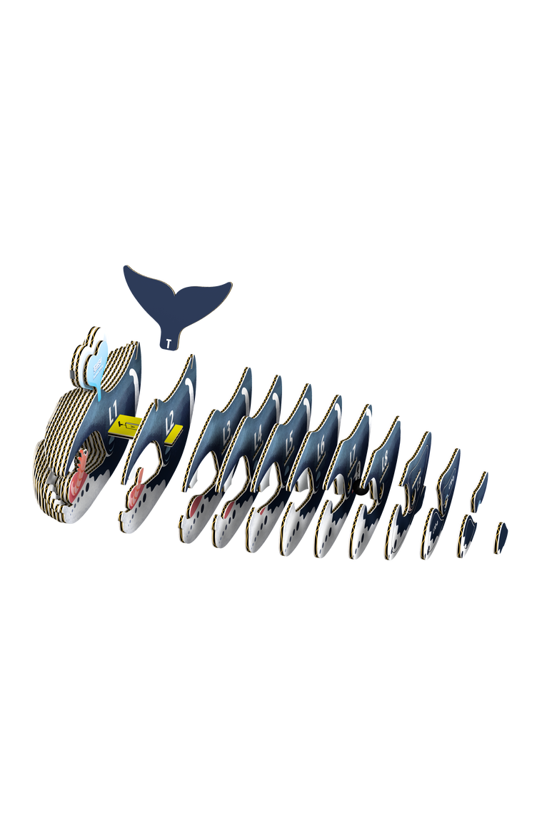 Bowhead Whale 3D Puzzle, Alternate, color, No Color