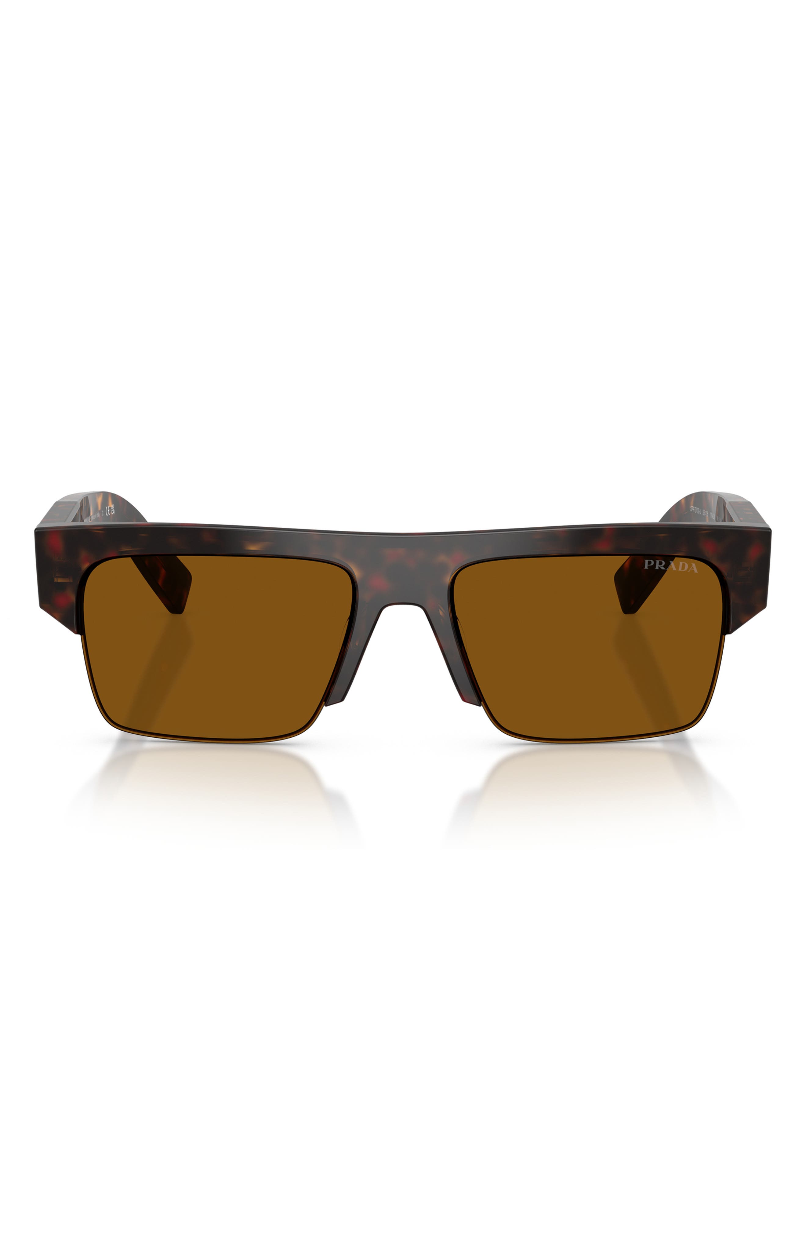 selected ROOT TORTOISE / DARK BRONZE