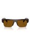  Root Tortoise / Dark Bronze