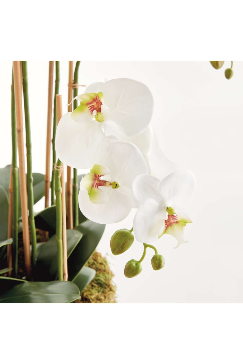Phalaenopsis Orchid Bowl Drop-In 35", Alternate, color, White