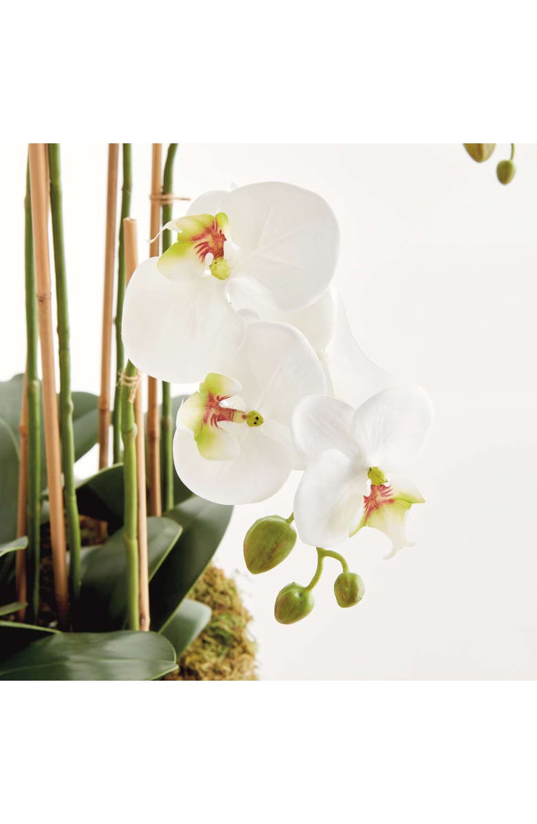Napa Home & Garden Phalaenopsis Orchid Bowl Drop-In 35", Alternate, color, White