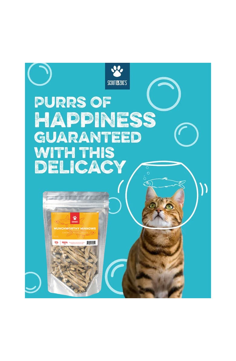 Scout & Zoe's Munchworthy Minnows, 1oz Dog & Cat Treats, Freeze Dried, Alternate, color, Multicolored