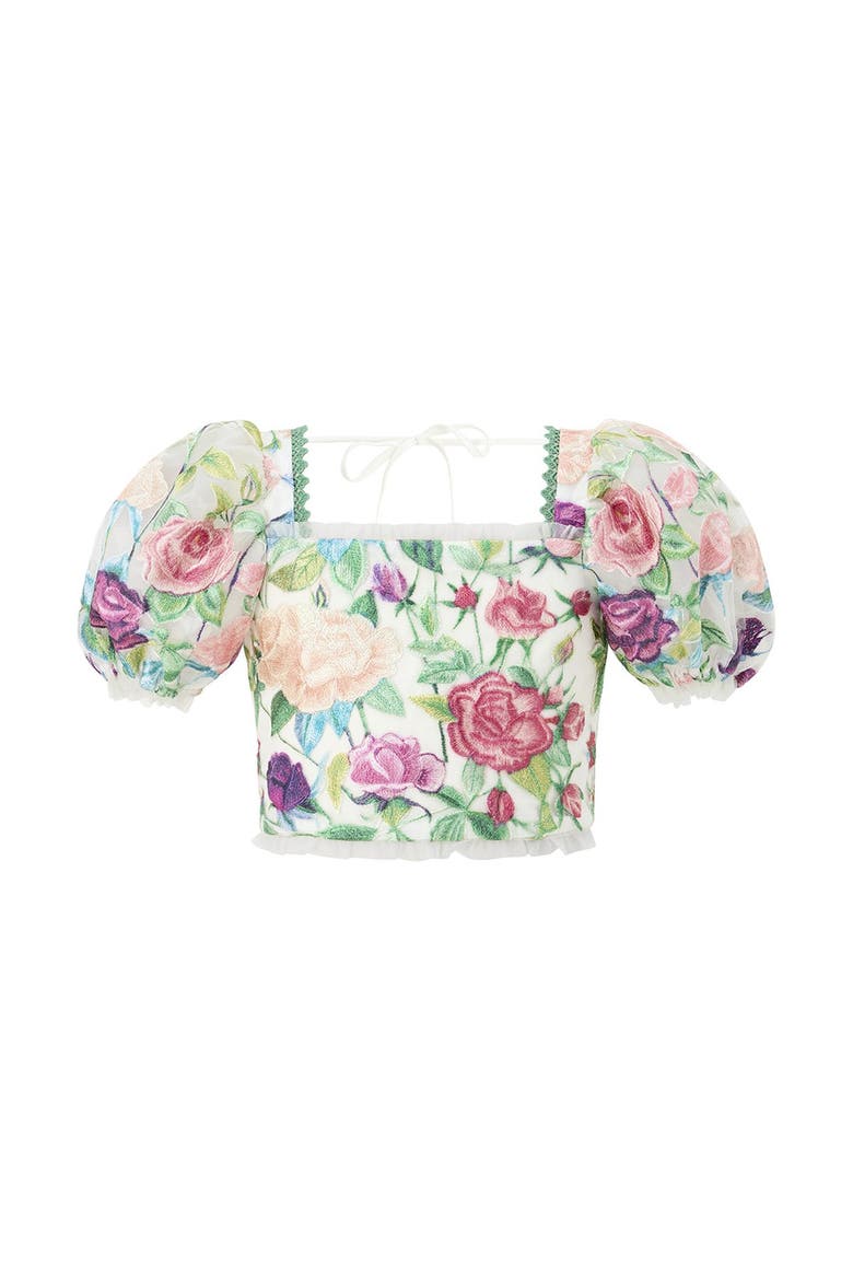Rachelle Embroidered Top, Alternate, color, Floral