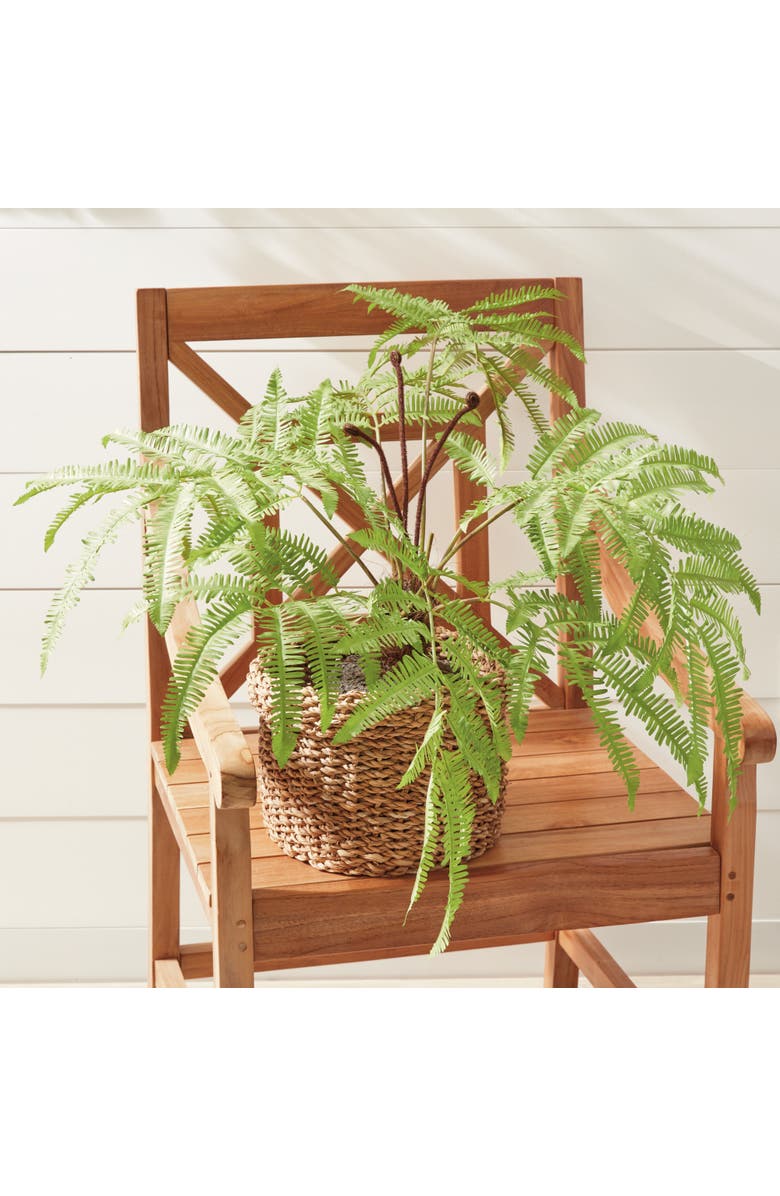 Napa Home & Garden Forest Fern Faux (Fake) Drop-In 29.5", Alternate, color, 