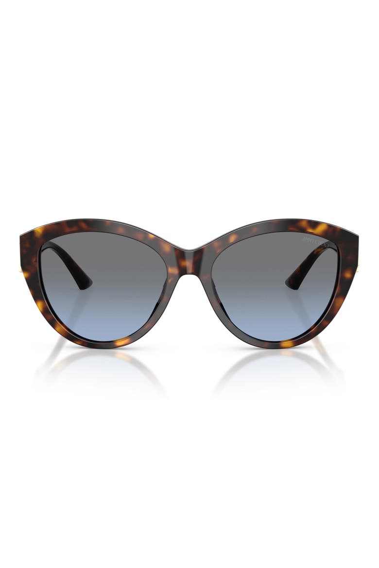 55mm Phantos Sunglasses, Main, color, HAVANA / GRADIENT BLUE