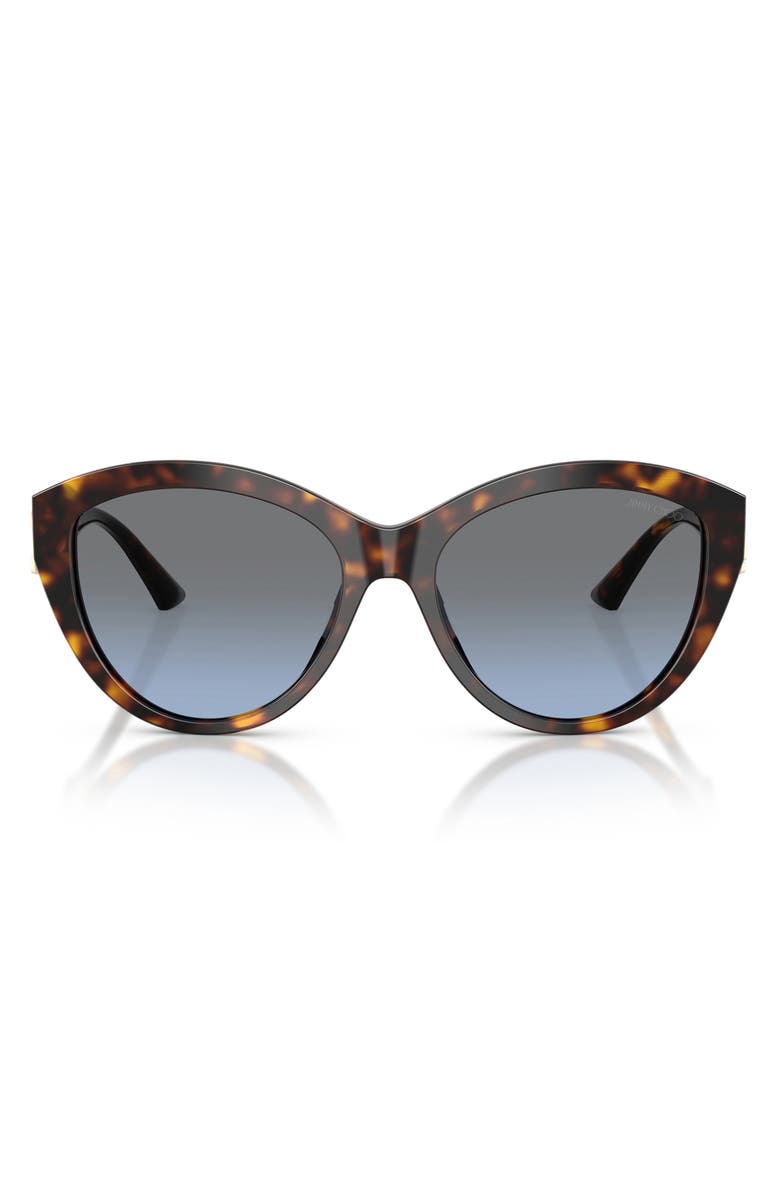 Jimmy Choo 55mm Phantos Sunglasses, Main, color, Havana / Gradient Blue
