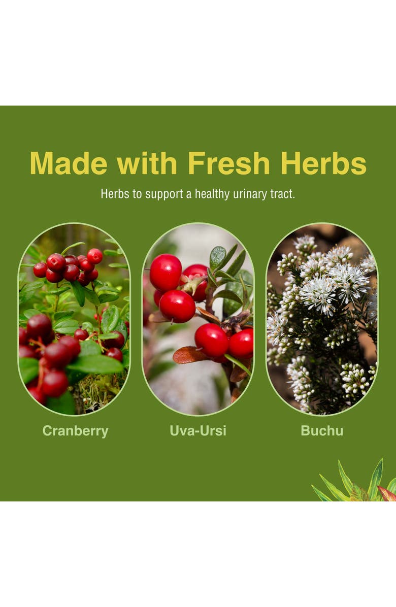 Herbs Etc. CranBladder ReLeaf Softgels, Bladder & Urinary Support, 60 Count, Alternate, color, NO COLOR