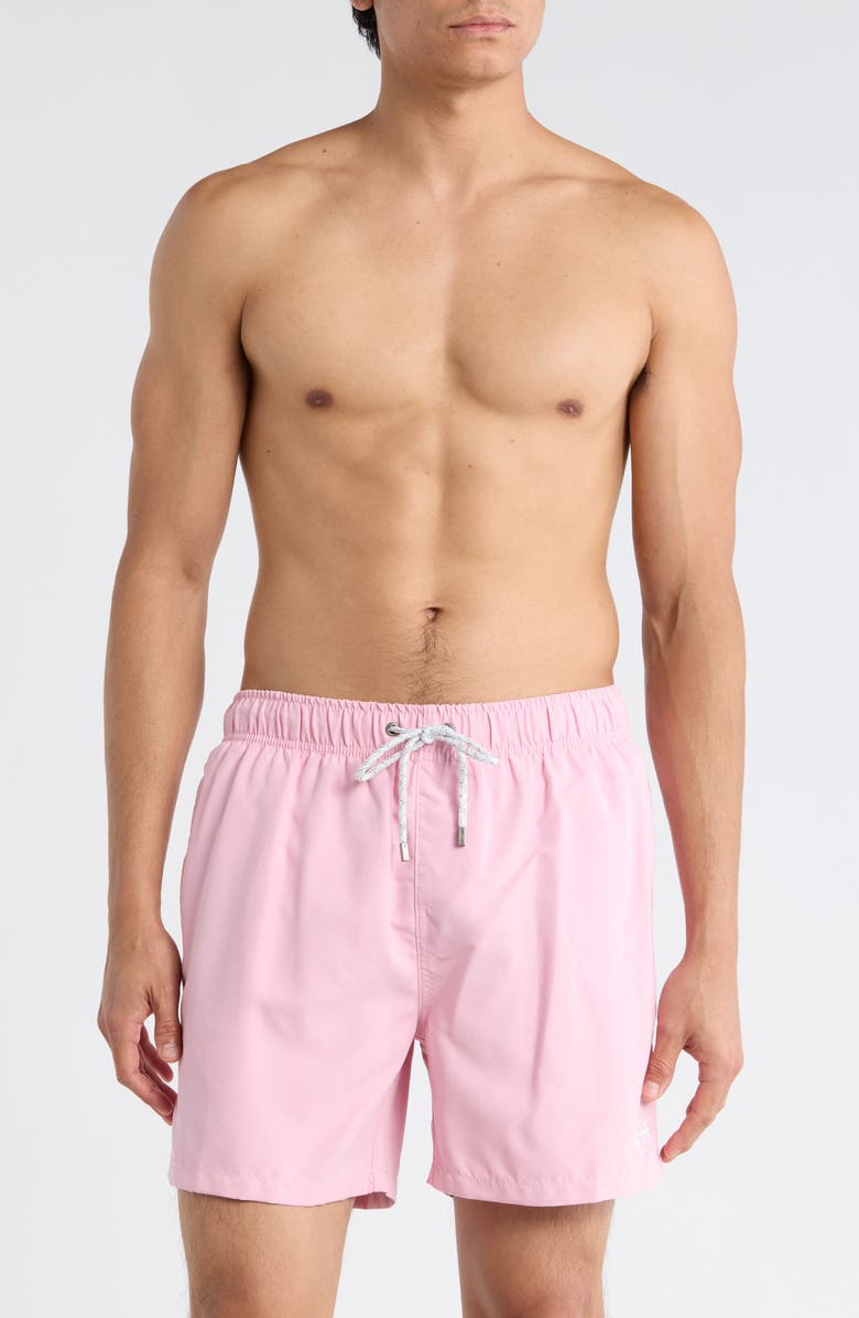 Vintage Summer Endless Solid Volley Swim Trunks, Main, color, Mauve