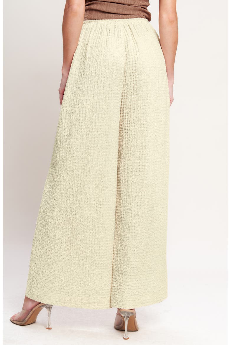 Drawstring Textured Wide Leg Pants, Alternate, color, BEIGE