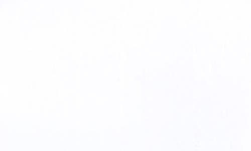 Alex Evenings Yoryu Sheer Sleeve Button-up Shirt In White