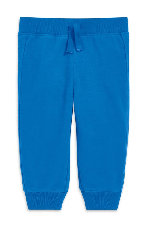 The Baby Jogger