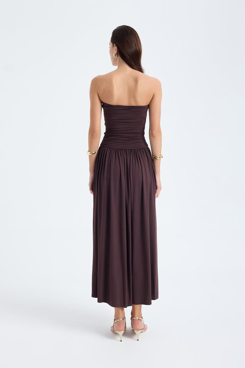 Aluna Strapless Maxi Dress, Alternate, color, Brown