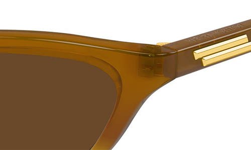 Bottega Veneta 56mm Cat Eye Sunglasses In Brown
