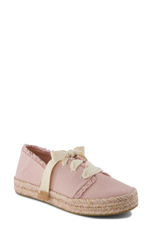 TOMS TOMS CAROLINA LACE-UP ESPADRILLE 