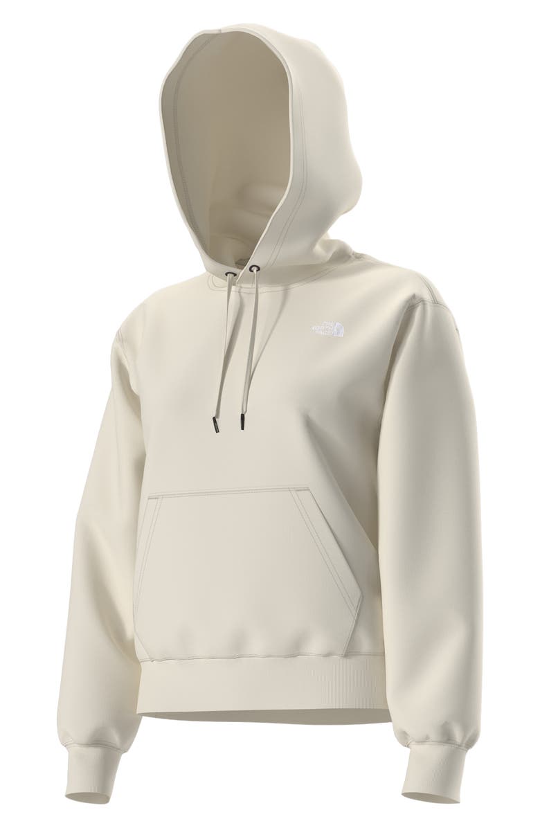 The North Face Evolution Simple Dome Fleece Hoodie, Alternate, color, 