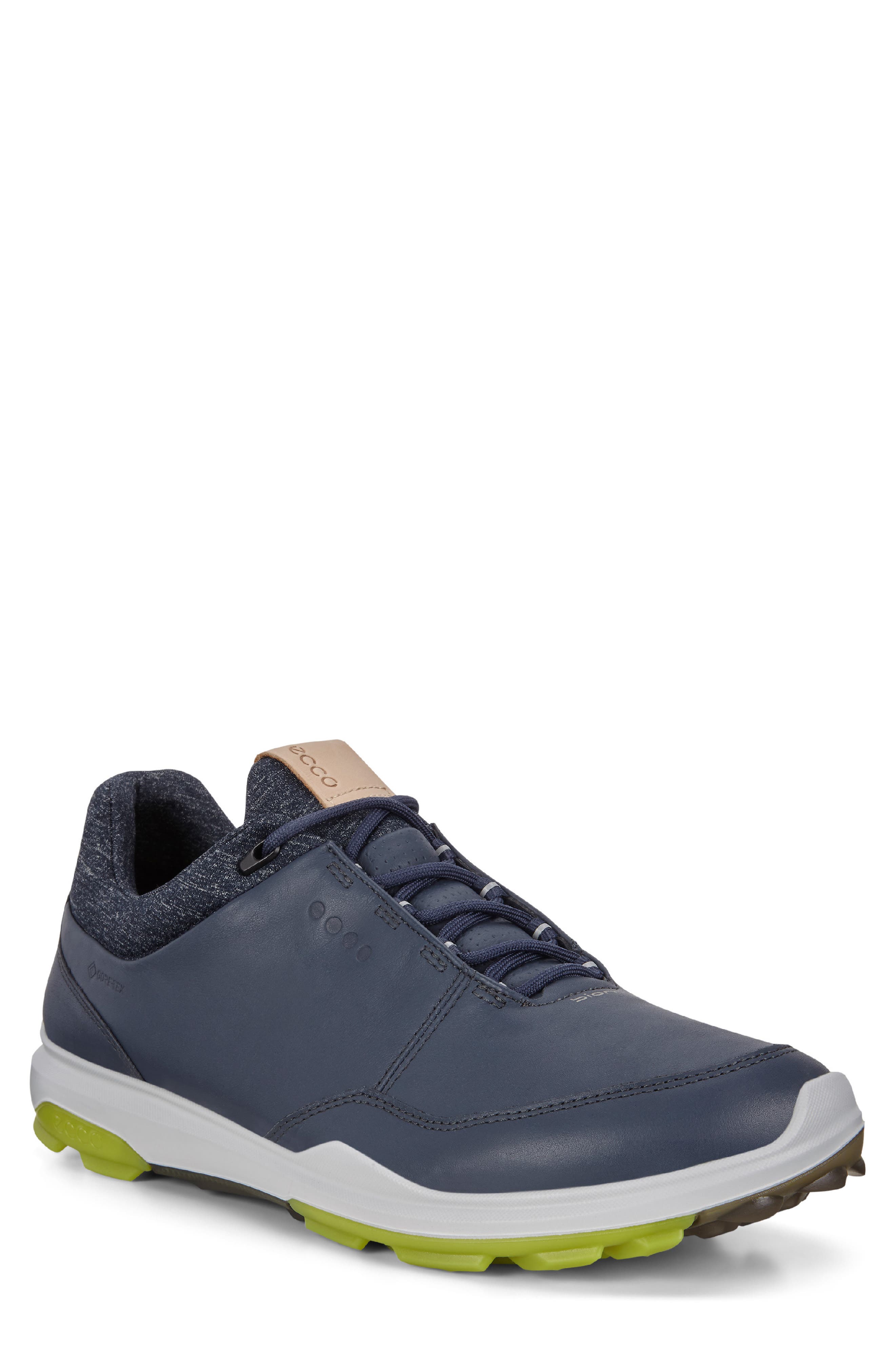 BIOM Hybrid 3 Gore-Tex® Golf Shoe, Main, color, OMBRE/ KIWI