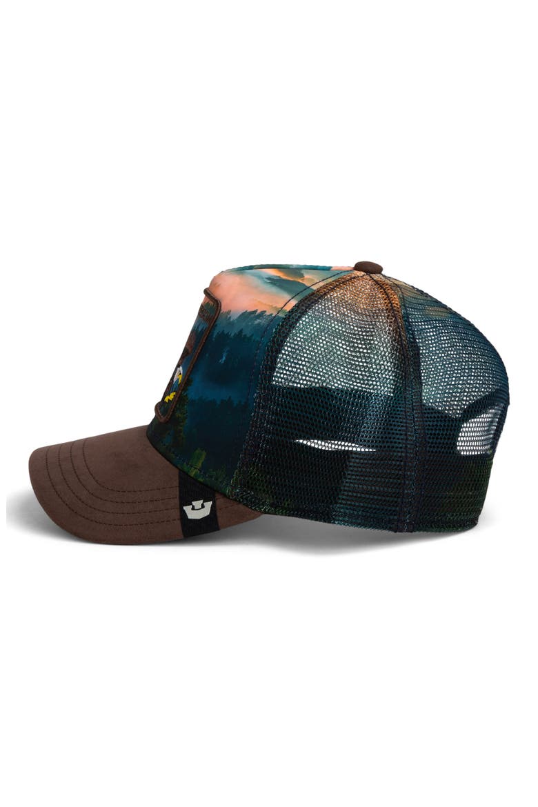 Eagle in the Element Patch Trucker Hat, Alternate, color, GROUND