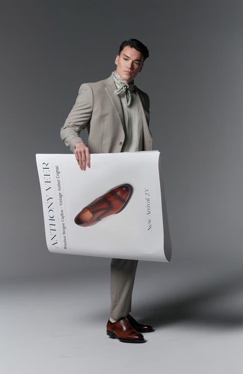 ANTHONY VEER ANTHONY VEER WINDSOR BROGUE