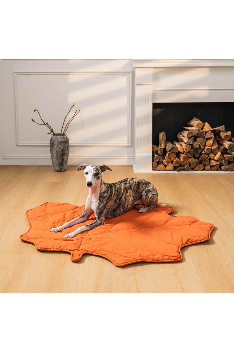Leaf Shape Pet Blanket, Alternate, color, Maple Red