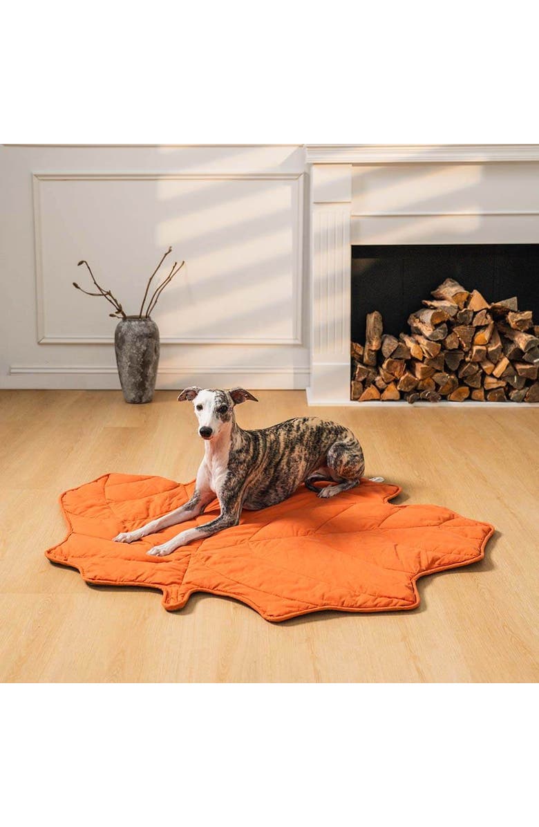 FunnyFuzzy Leaf Shape Pet Blanket, Alternate, color, Maple Red