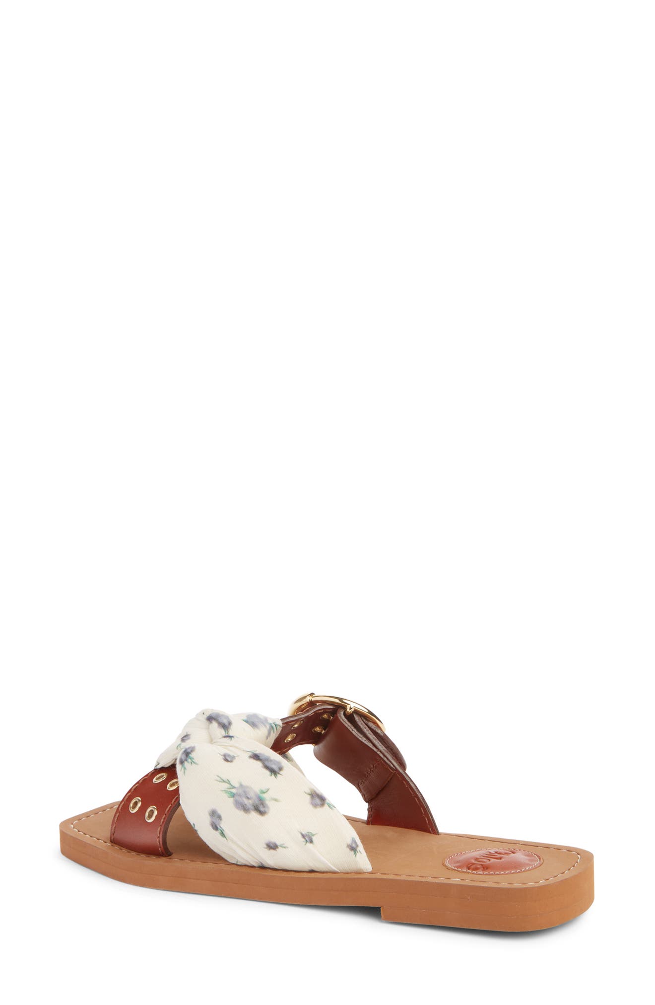 Chloé Woody Buckle Slide Sandal, Alternate, color, 