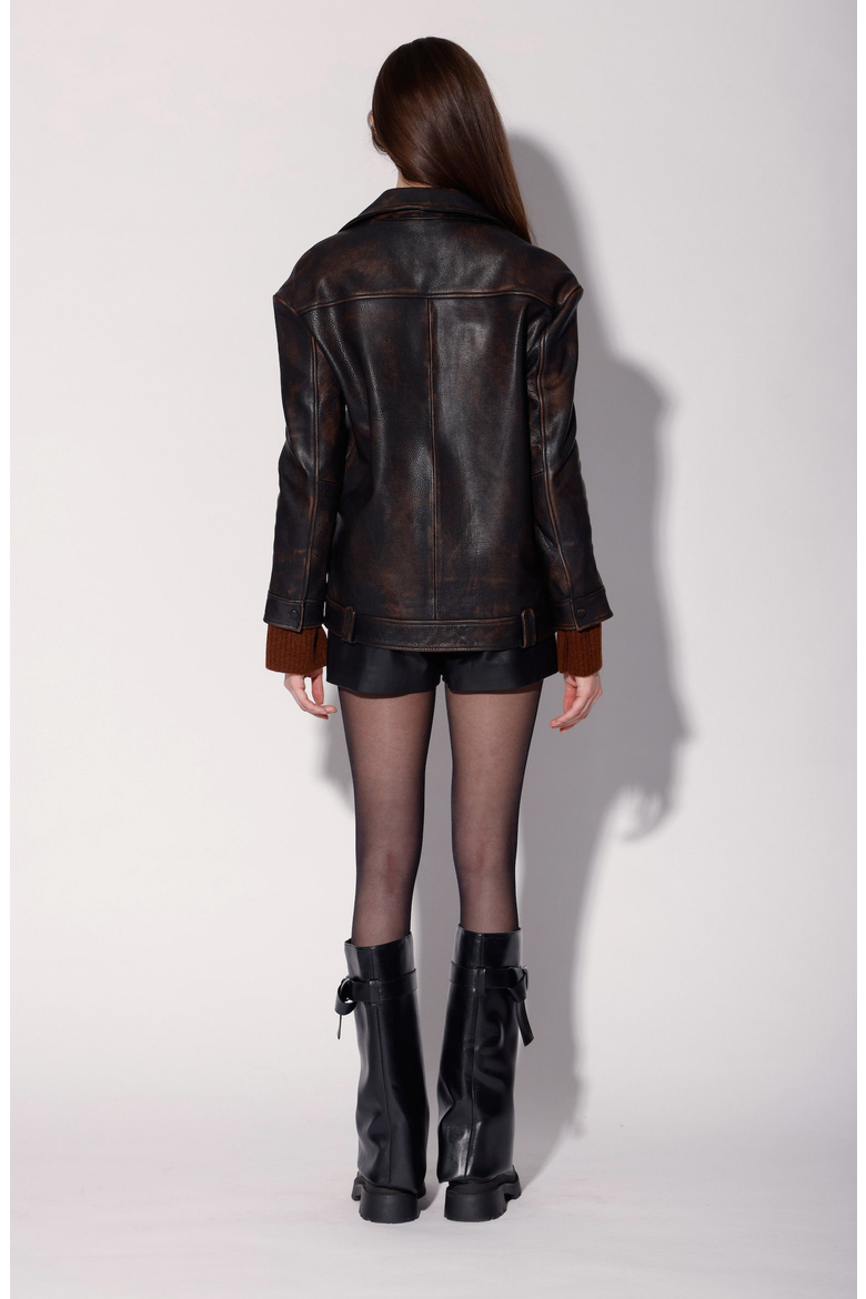 Cassandra Blazer Leather Jacket, Alternate, color, Brown Tan
