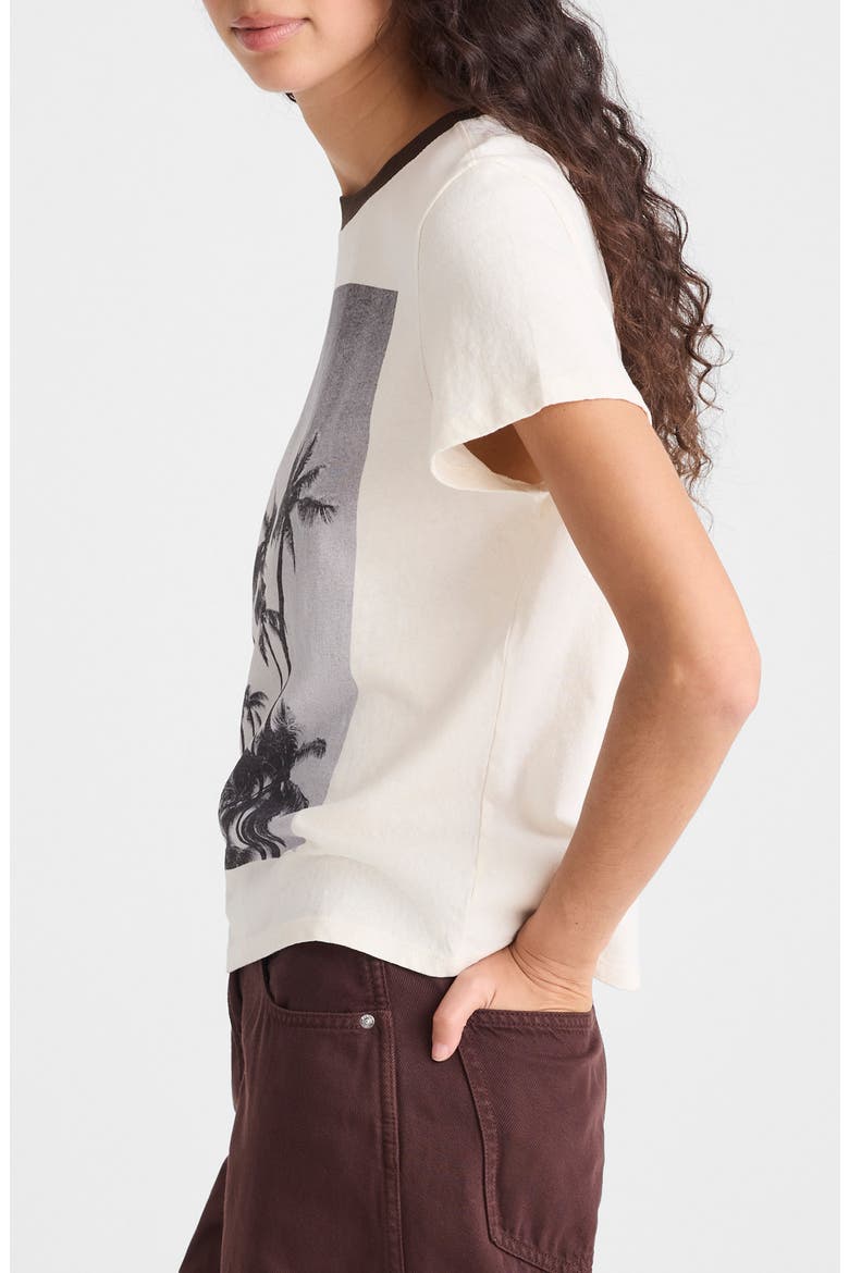 The Relaxed Graphic T-Shirt, Alternate, color, PALM TREE