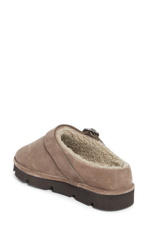 Brunello Cucinelli Monili Trim Genuine Shearling Lined Clog In Brown